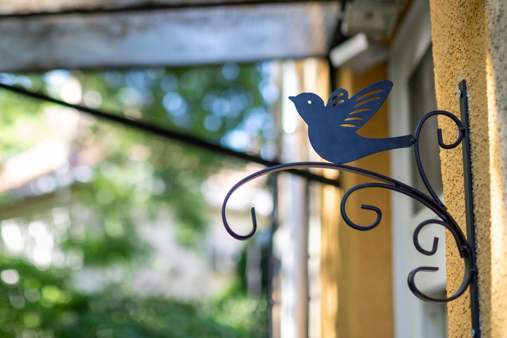 Sunbird *